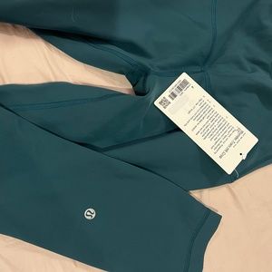 Winder Train HR Crop 23in